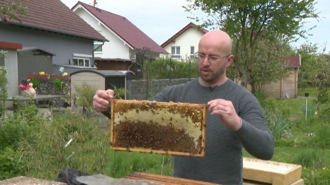 Grundeinkommen.JPG