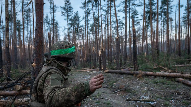 Die Region Luhansk ist hart umkämpft.