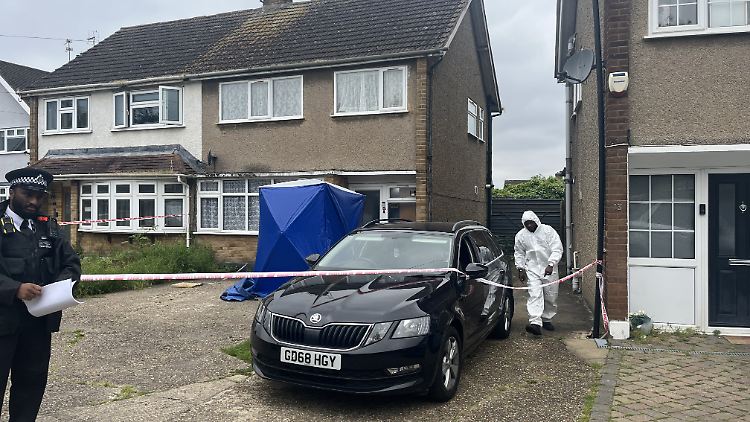 Einsatz in London Hornchurch: Die Retter können nur noch den Tod der Hundehalterin feststellen.