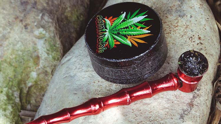 Der THC-Gehalt in Cannabis ist deutlich höher als noch vor 40 Jahren.