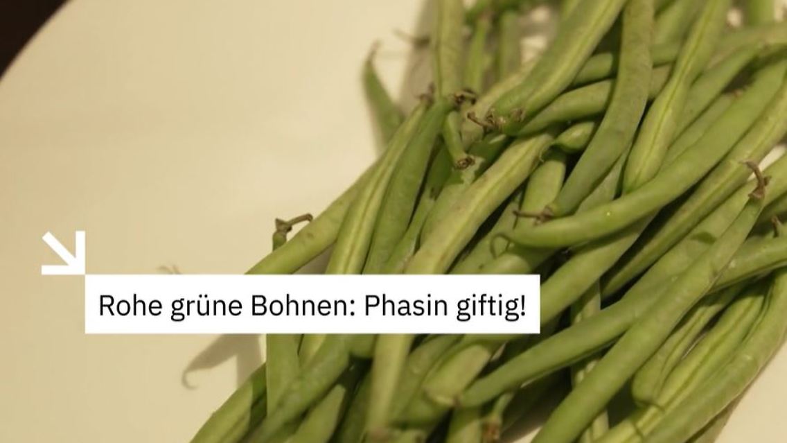 Bohnen 1.JPG