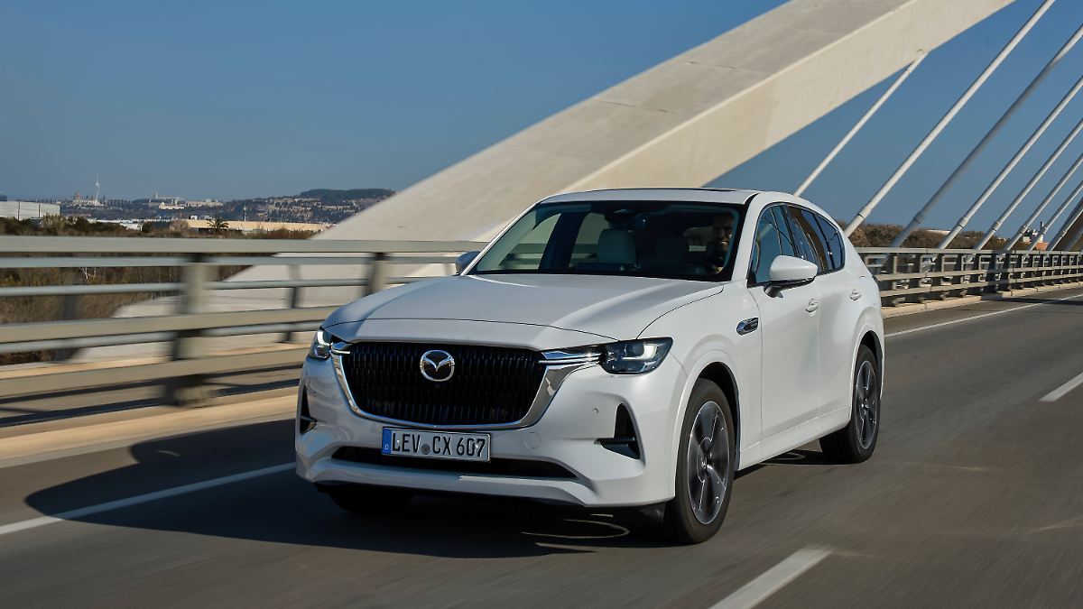 Handwerkskunst aus Japan im Test: Mazda CX-60 e-Skyactiv D 200 - viel ...