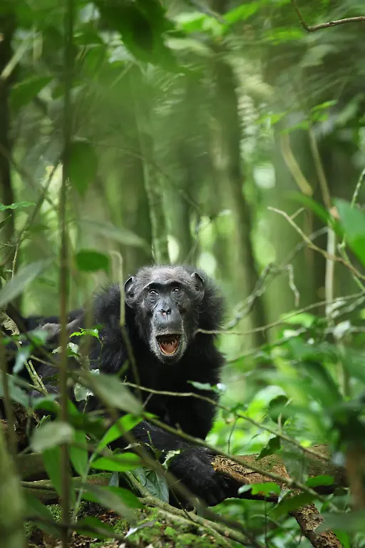 urn-binary-dpa-com-20090101-231025-99-696630-FILED