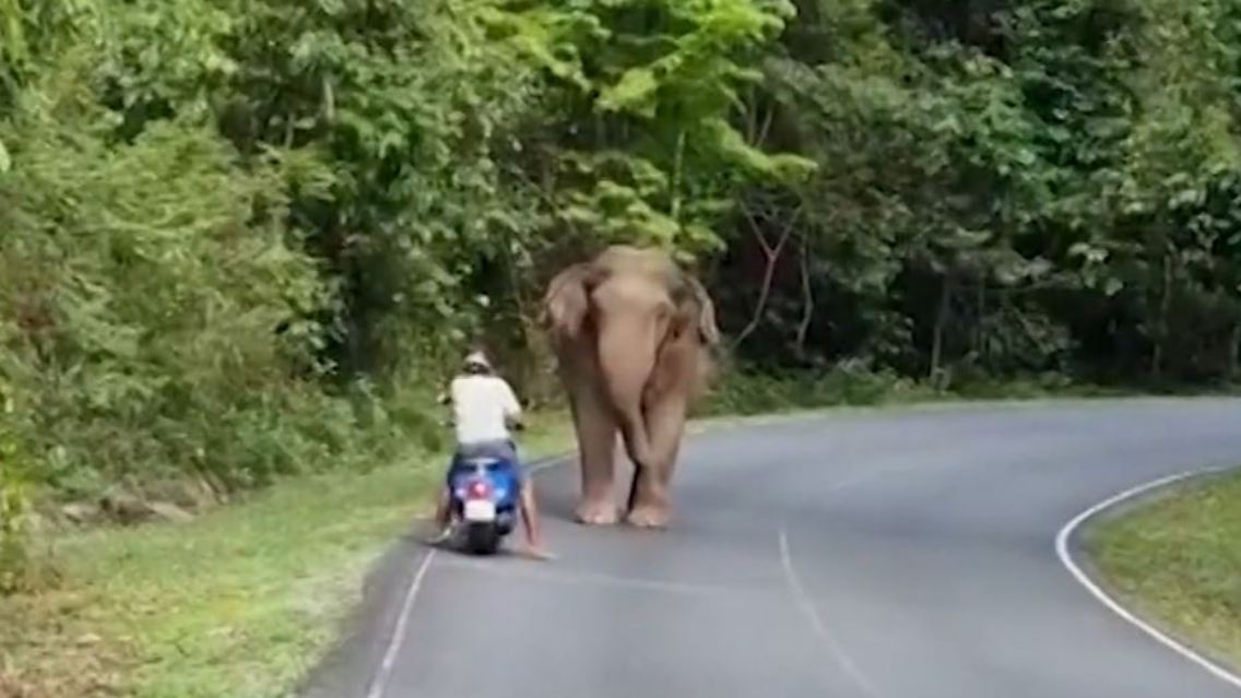 thai.JPG