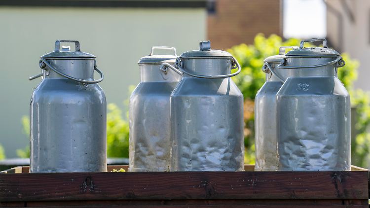 Seit Mitte der 1990er-Jahre ist der durchschnittliche Milchkonsum pro Kopf um 14 Kilo auf 46 Kilo pro Jahr gesunken.