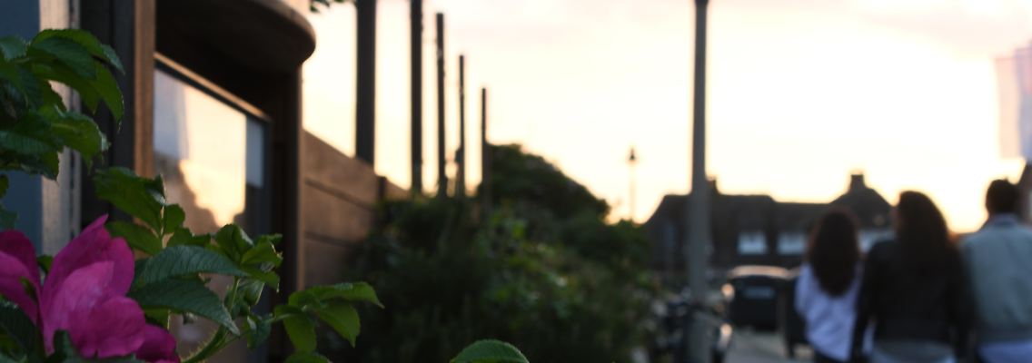 464876995.jpg