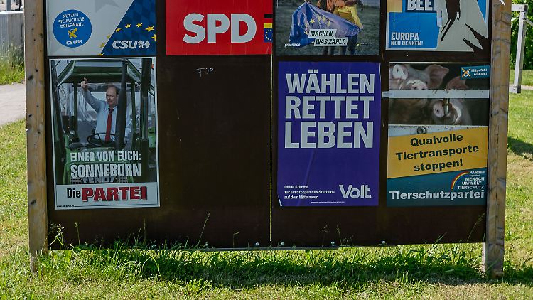 Viele Parteien werben wenig bis gar nicht mit ihren kaum bekannten Spitzenkandidaten.