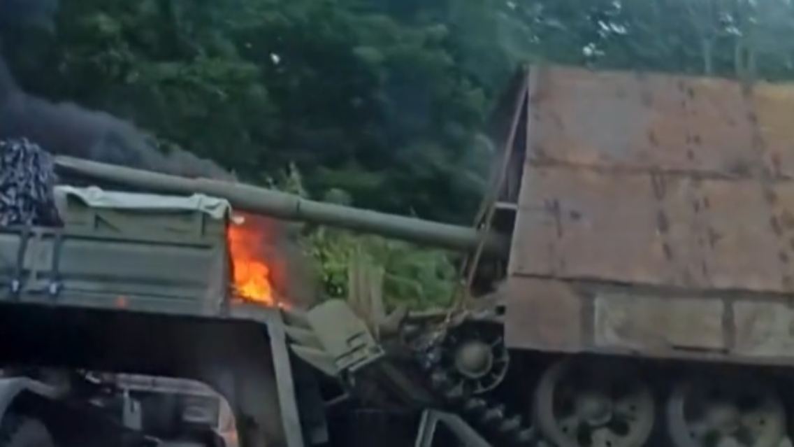SchildkrötenpanzerUnfall.jpg