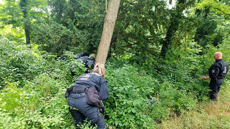 Viele Polizeikräfte suchten nach Spuren, durchkämmten den Garten und schauten hinter Bäume und Büsche.