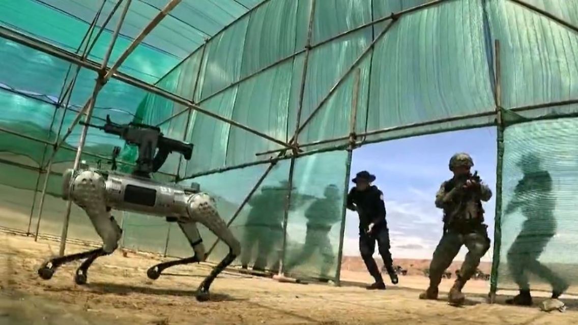 RoboterhundMaschinengewehr.JPG