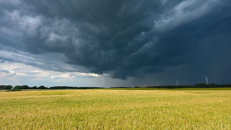 Extrem-Regen im Mai und April-Wetter im März: Die meteorologischen Veränderungen sind längst messbar.