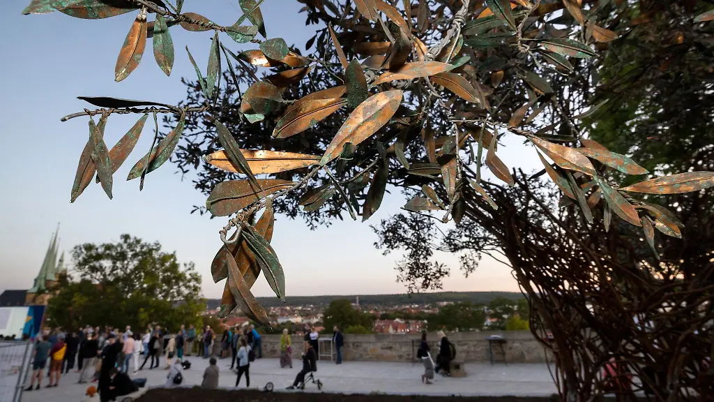 Die-Paradiesbaum-Skulptur-eine-acht-Meter-hohe-Olivenbaum-Nachbildung-aus-Metall-steht-auf-dem-Petersberg-in-Erfurt