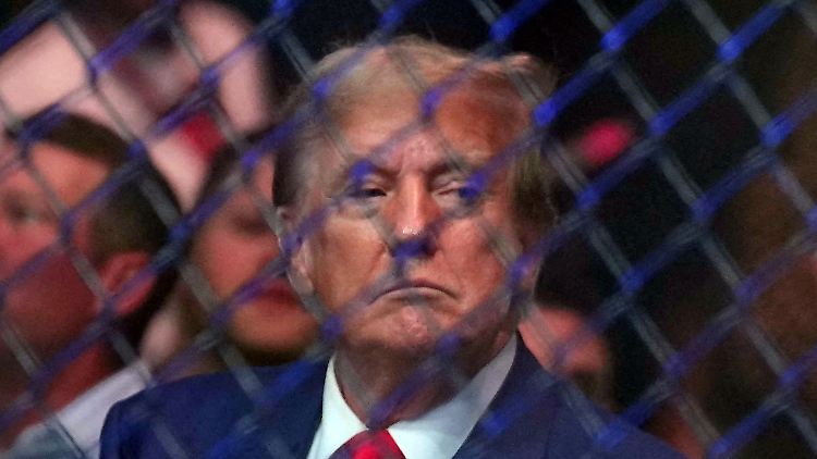 Experten gehen davon aus, dass Trumps Strafe zur Bewährung ausgesetzt wird oder er eine Geldstrafe zahlen muss.