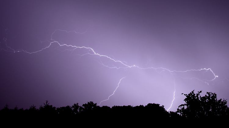 Es ist gefährlich, unter Bäumen Schutz vor Gewitter zu suchen. (Archivbild)
