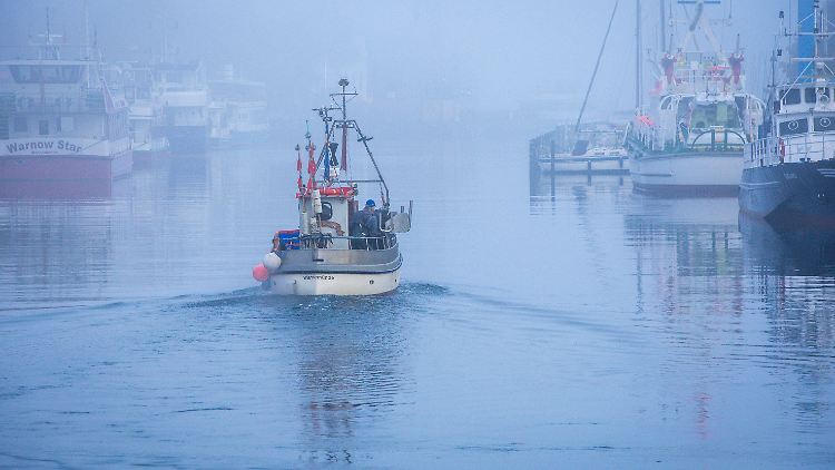 Nach drei Jahren Fangpause entstehe für die Betriebe der Eindruck, dass die Fischerei keine Rolle mehr für die Bestandsentwicklung spiele, teilt der Fischereiverband mit.