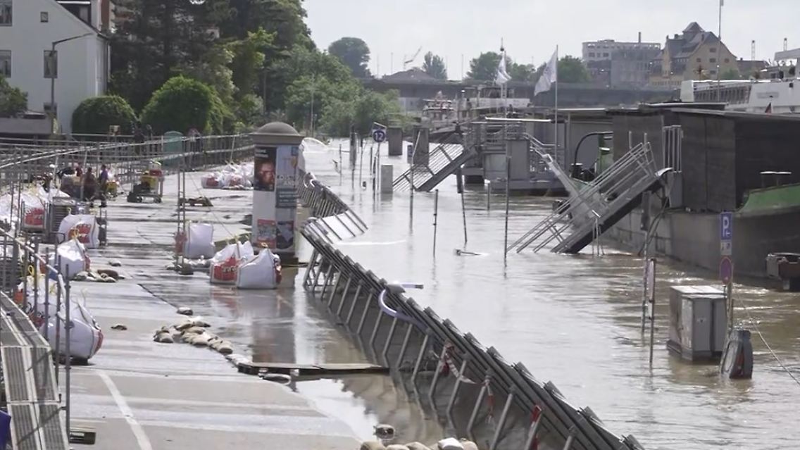 Donau 2.jpg