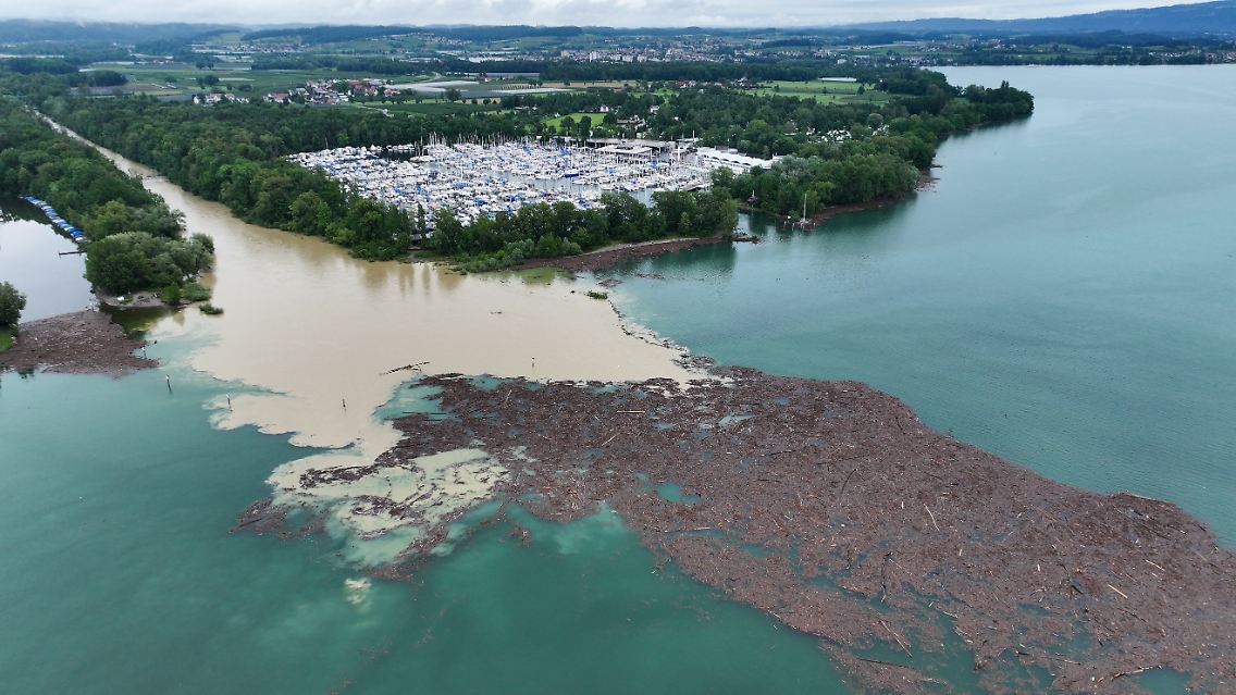 Treibholz schwimmt nach der Mündung des Flusses Argen im Bodensee.