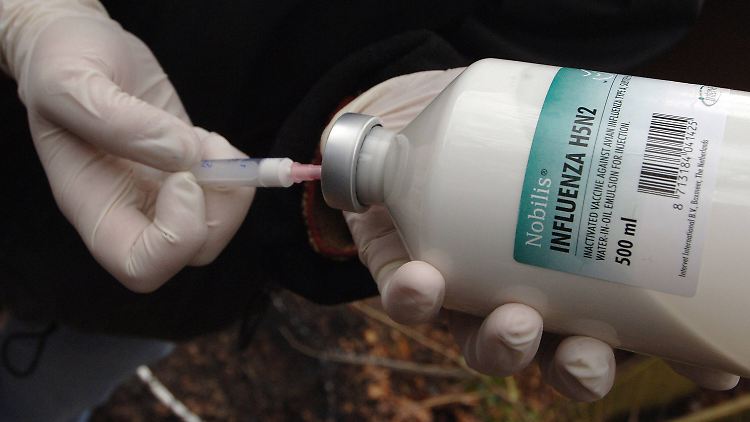 Gegen Infektionen mit H5N2 können Tierärzte Vögel impfen. Der Verlauf der Erkrankung ist im Vergleich zu H5N1-Infektionen bei Geflügel milder. 