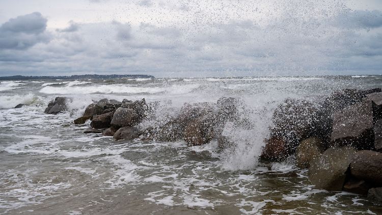 Egal wie aufgewühlt die Ostsee ist, Ida geht schwimmen.
