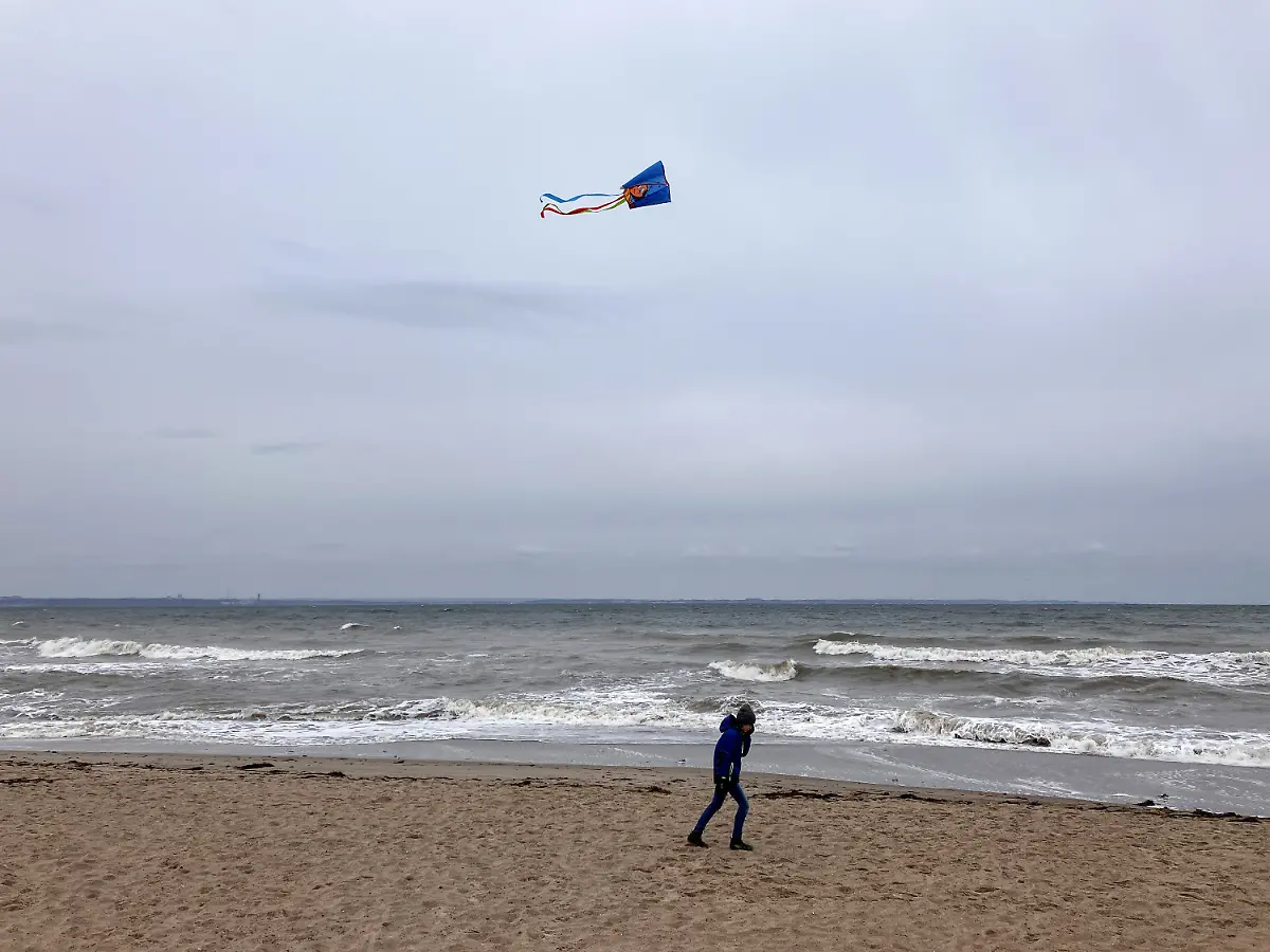 76a9ed7a1915d2e66796aa132dd59605