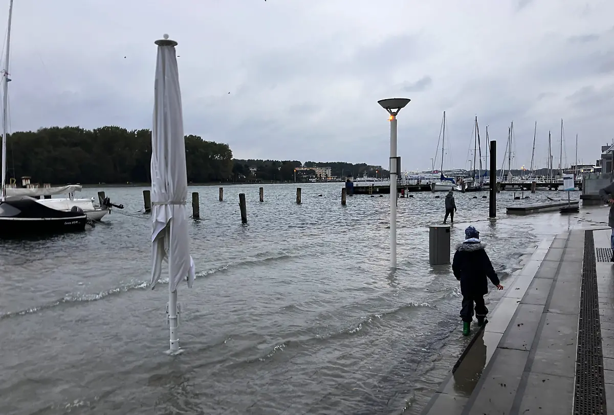 3a41057249e9d3f66e1f847d974c6511