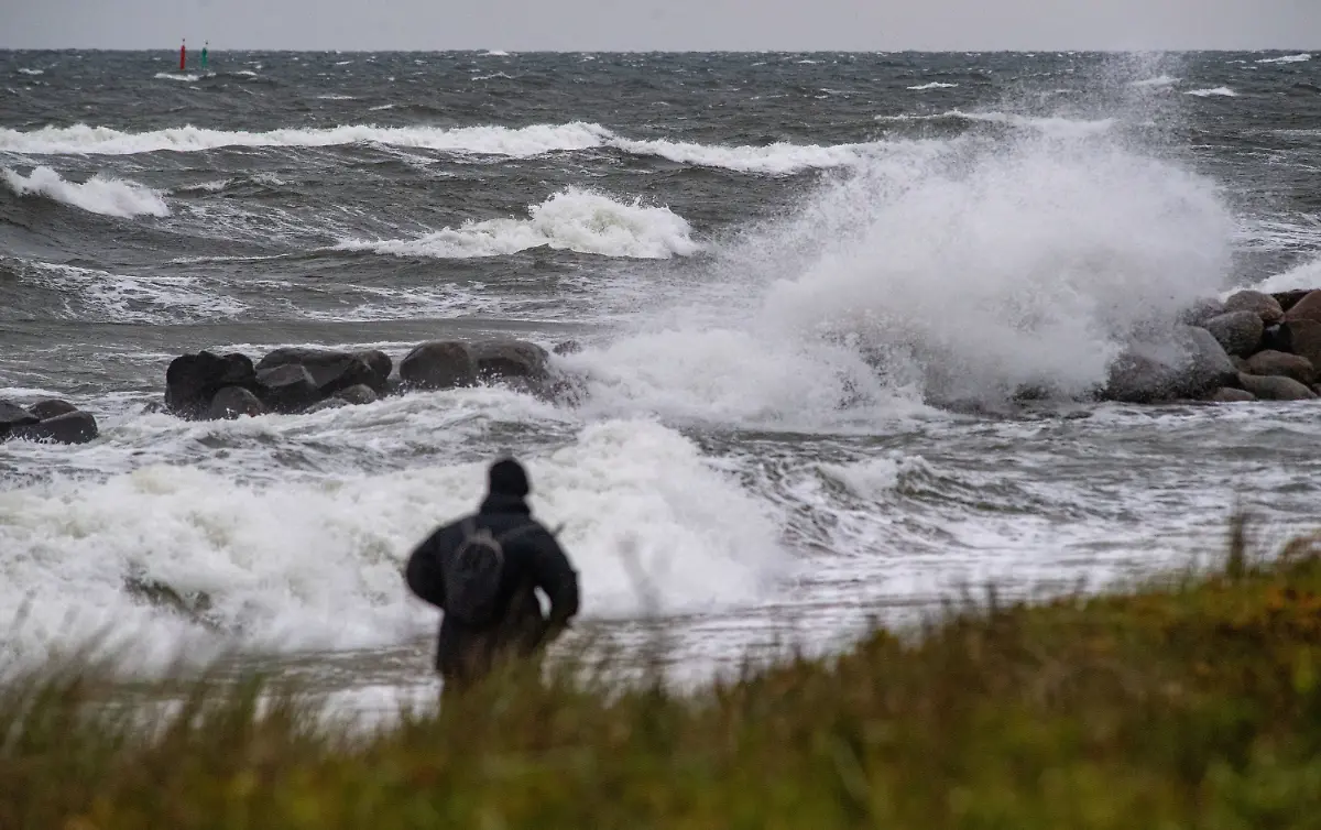 ab7cf0a1018a80eecd305ab757842014