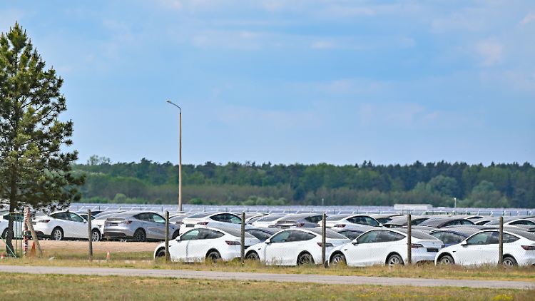 Auf dem Flugplatz Neuhardenberg in Brandenburg warten Tesla-Modelle auf Kunden.