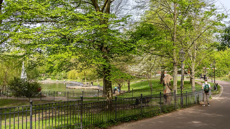 Homophobe Männer aus einer Familiengruppe im Volkspark Friedrichshain griffen das schwule Paar an. 