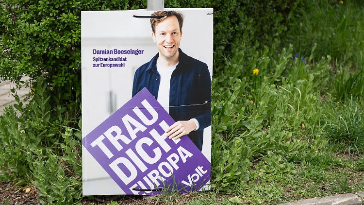 Damian Boeselager wird wohl auch weiterhin für Volt im Europaparlament sitzen.