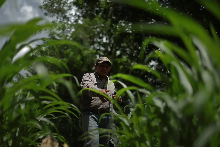 2023-10-12T100446Z-570345266-RC2SP2AF8NUL-RTRMADP-3-GUATEMALA-CLIMATECHANGE-HUNGER-VILLAGE