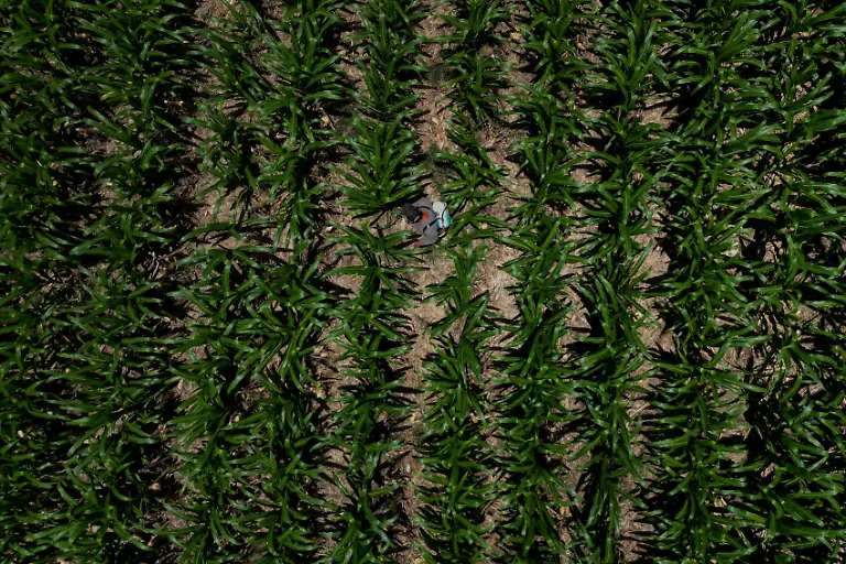 2023-10-12T100435Z-1947775612-RC2PP2AAB3PX-RTRMADP-3-GUATEMALA-CLIMATECHANGE-HUNGER-VILLAGE