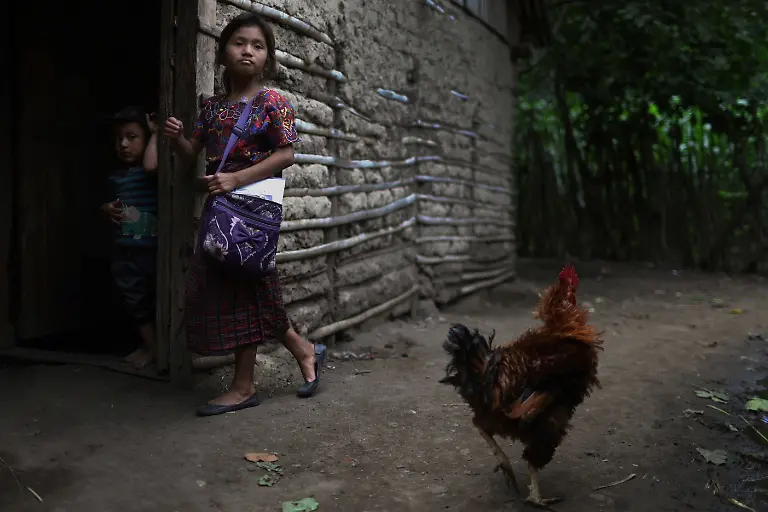 2023-10-12T100423Z-794421415-RC25P2A0S7D8-RTRMADP-3-GUATEMALA-CLIMATECHANGE-HUNGER-VILLAGE