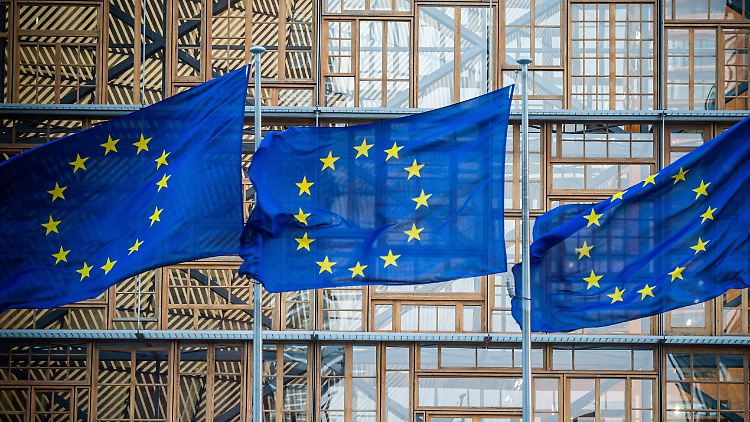 In 27 EU-Staaten wählen die Bürgerinnen und Bürger ihre Abgeordneten für das Europaparlament.