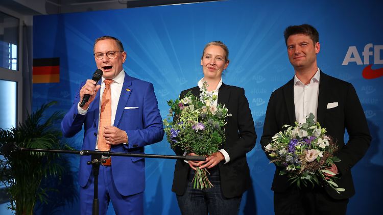 Spitzenkandidat Aust (r.) gemeinsam mit AfD-Spitze Weidel und Chrupalla. Der Höcke-Vertraute soll die Delegation in der EU leiten.