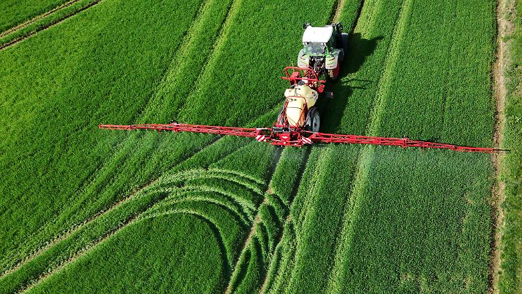 Lachgas entsteht unter anderem bei der Düngung von Feldern und Weiden.