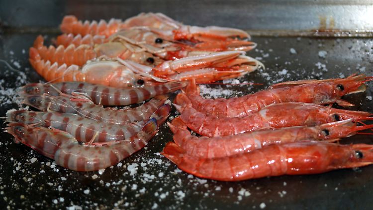 Auf einer Plancha lässt sich nicht nur Fleisch wunderbar zubereiten.