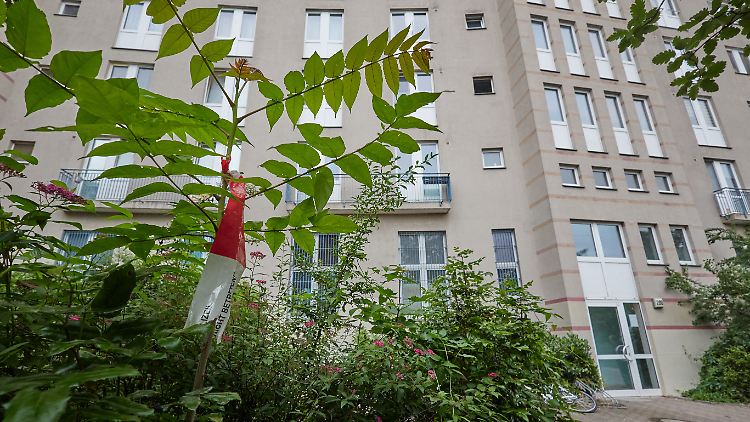 Die Wohnung der Familie befindet sich im dritten Stock des Hauses im Stadtteil Altglienicke nahe dem Berliner Flughafen.