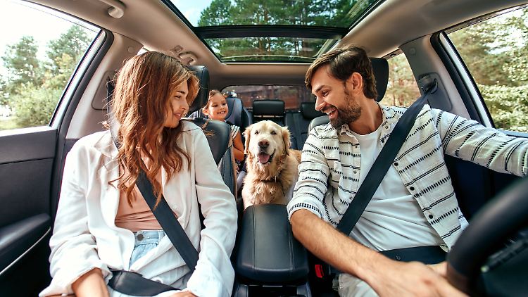 Wer mit Hund auf Reisen geht, muss auf einige Dinge achten.
