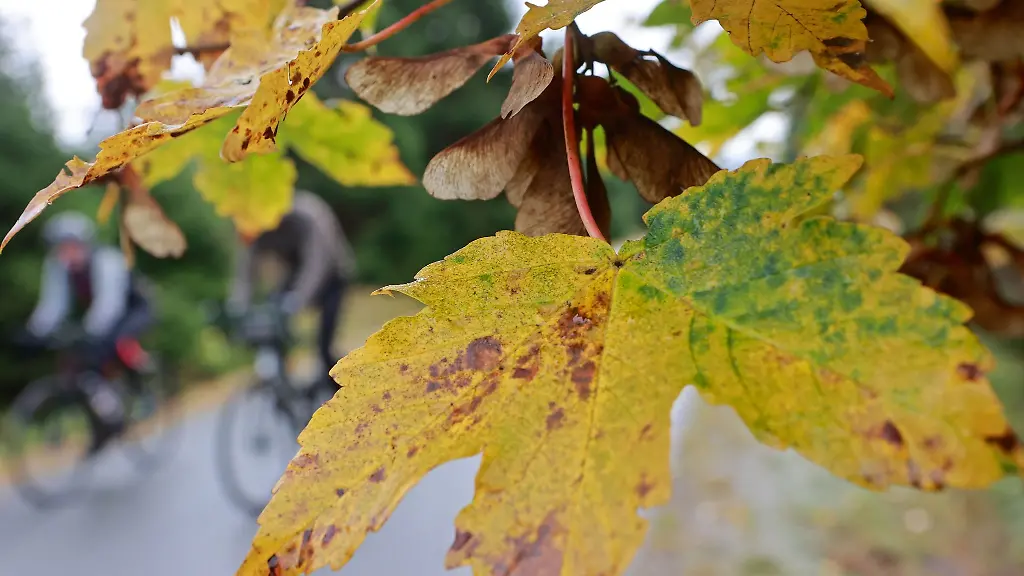 Radfahrer-sind-im-Regen-auf-der-Brockenstrasse-zum-Brocken-unterwegs