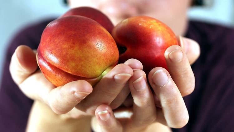 Rund die Hälfte der Früchte im Test schneiden in der Schadstoffuntersuchung immerhin "gut" oder "sehr gut" ab. 