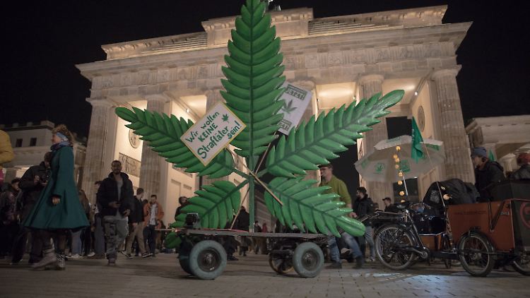 Seit dem 1. April ist Cannabis legal. Anbauvereine müssen jedoch noch auf Lizenzen warten.