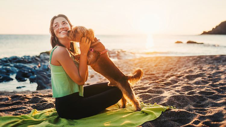 Darf der Hund einfach so mit an den Strand?