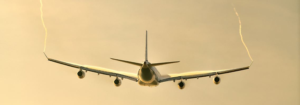 450071401.jpg