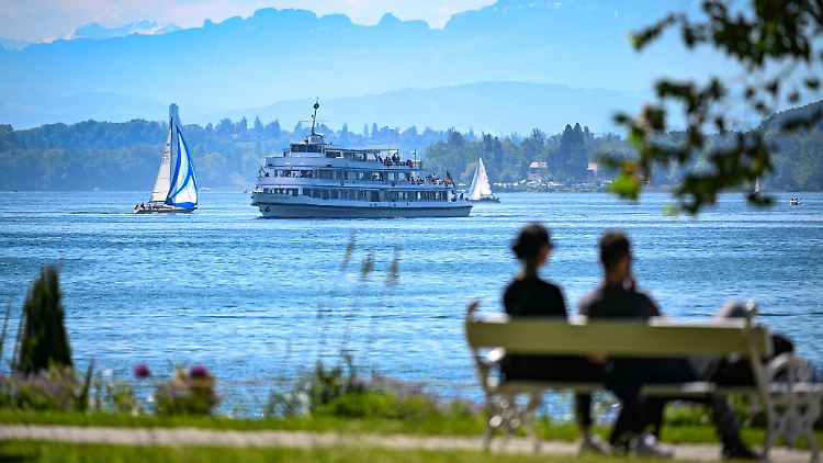 Die erhöhte Temperatur des Bodensees hat Folgen für die Fischwelt.