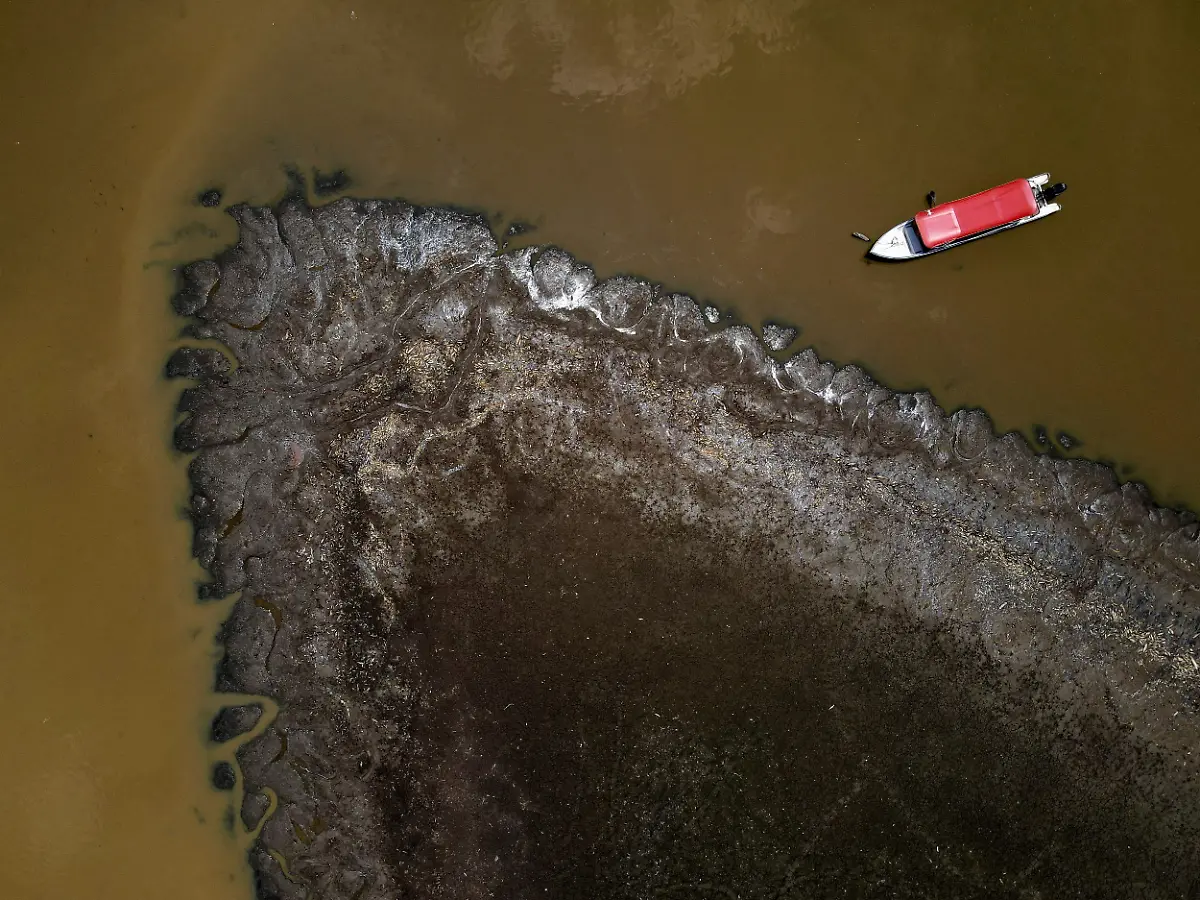 966ec1498ce1824692623448cf1db547