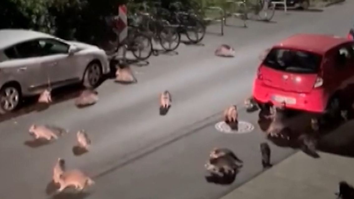 Unbenannt.jpg