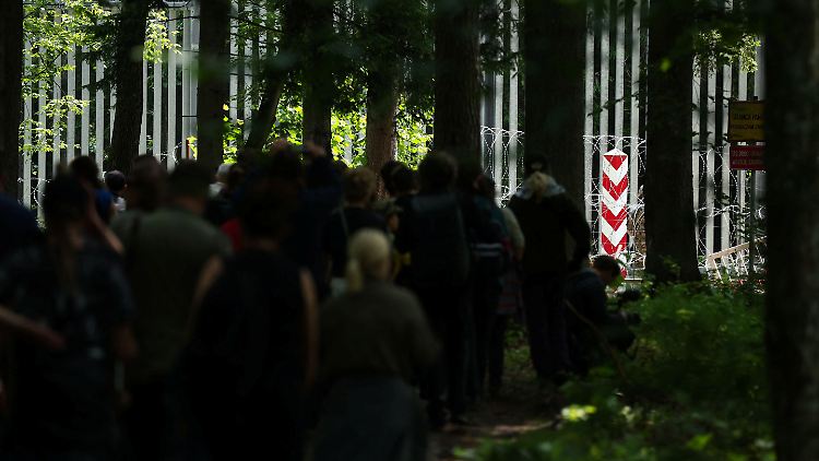 Migranten beim Zaun an der belarussischen-polnischen Grenze