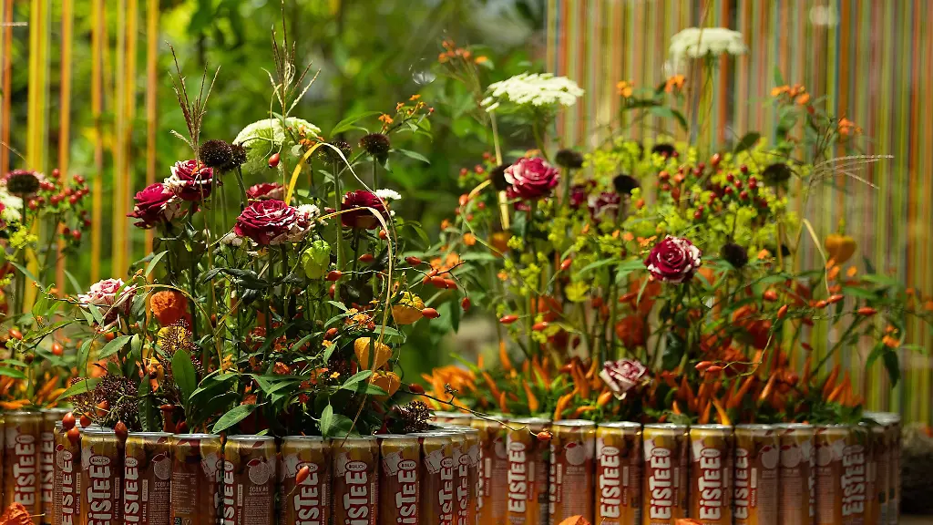 Verschiedene-Blumen-sind-in-der-Blumenausstellung-auf-der-Landesgartenschau-zu-sehen