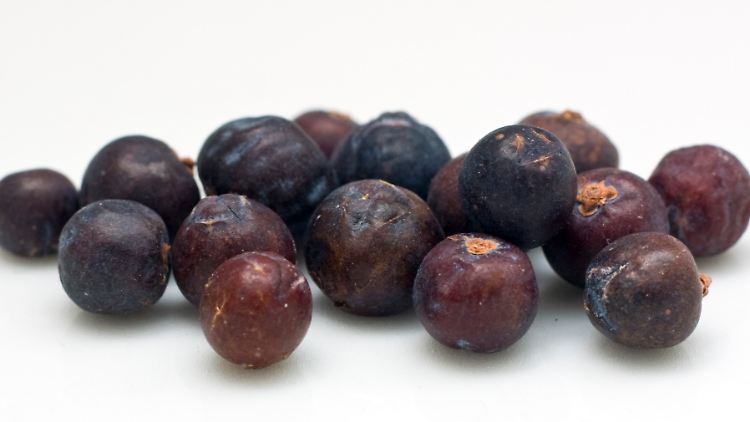 Die getrockneten Wacholderbeeren sind unscheinbar - aber von guter Würzkraft.