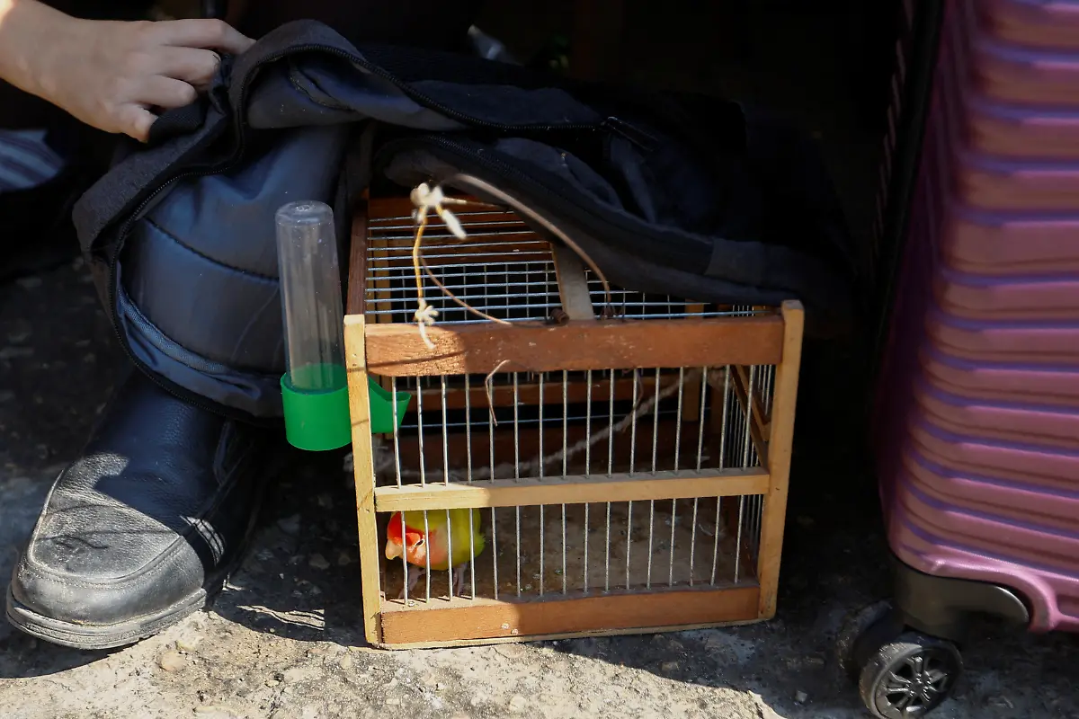 2023-10-16T084244Z-735855148-RC2KT3ASV5B2-RTRMADP-3-ISRAEL-PALESTINIANS